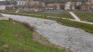 Illustration rive de gier