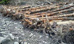 Ouvrages en gros bois - (c) Mickael MOORE