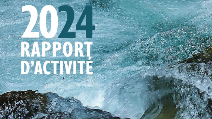 Rapport d'activité 2024