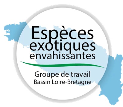 EEE_logo_GT_LB