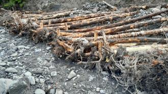 Ouvrages en gros bois - (c) Mickael MOORE