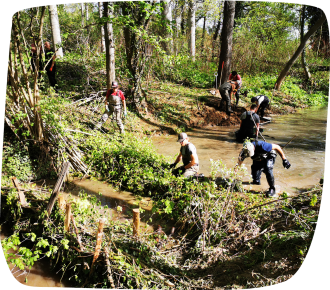 FormationRestaurationProcessusLT2026