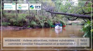 webinaire fréquentation