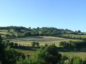 bocage - ©Mission haie auvergne