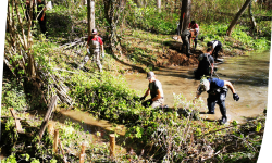 FormationRestaurationProcessusLT2026