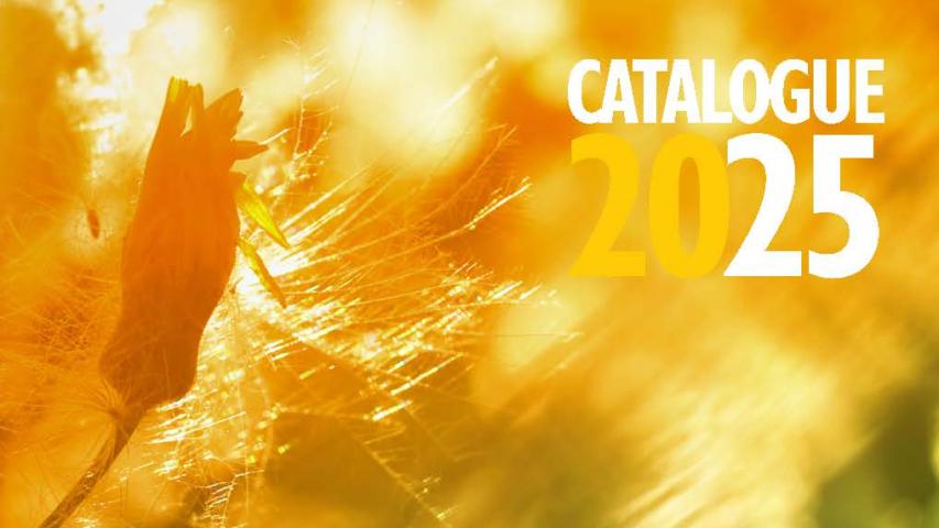 Catalogue formation 2025